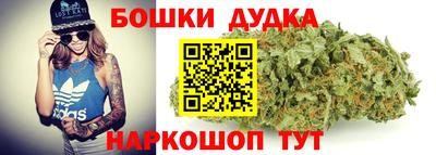 spice Дубна
