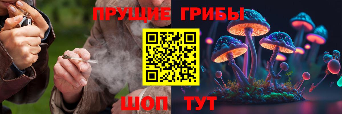 Галлюциногенные грибы ЛСД  Вход с VPN  Назрань 